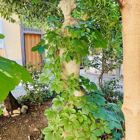 Leafy Sunshine, Bilocale In Porta Venezia, Con Metro A 1 Min A Piedi Apartment